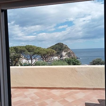 Parco Termale Tropical Bed & Breakfast Ischia Island Bagian luar foto