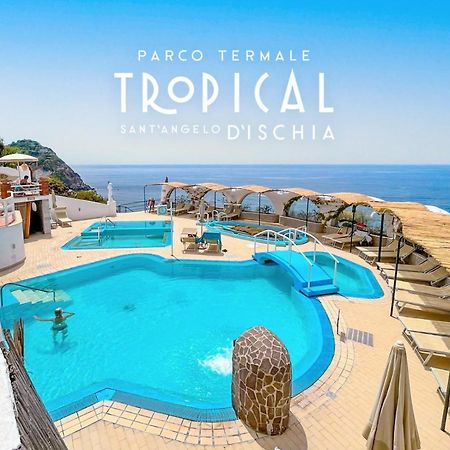Parco Termale Tropical Bed & Breakfast Ischia Island Bagian luar foto