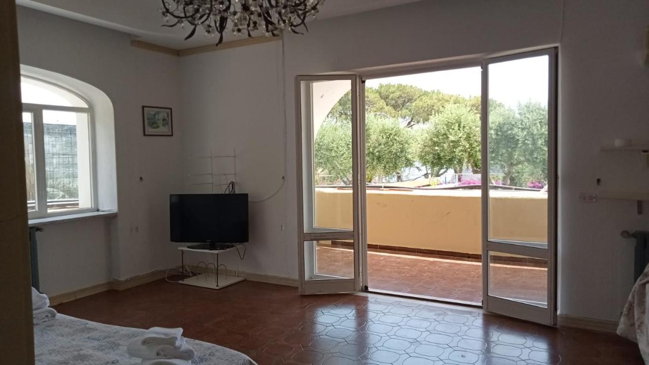Parco Termale Tropical Bed & Breakfast Ischia Island Bagian luar foto